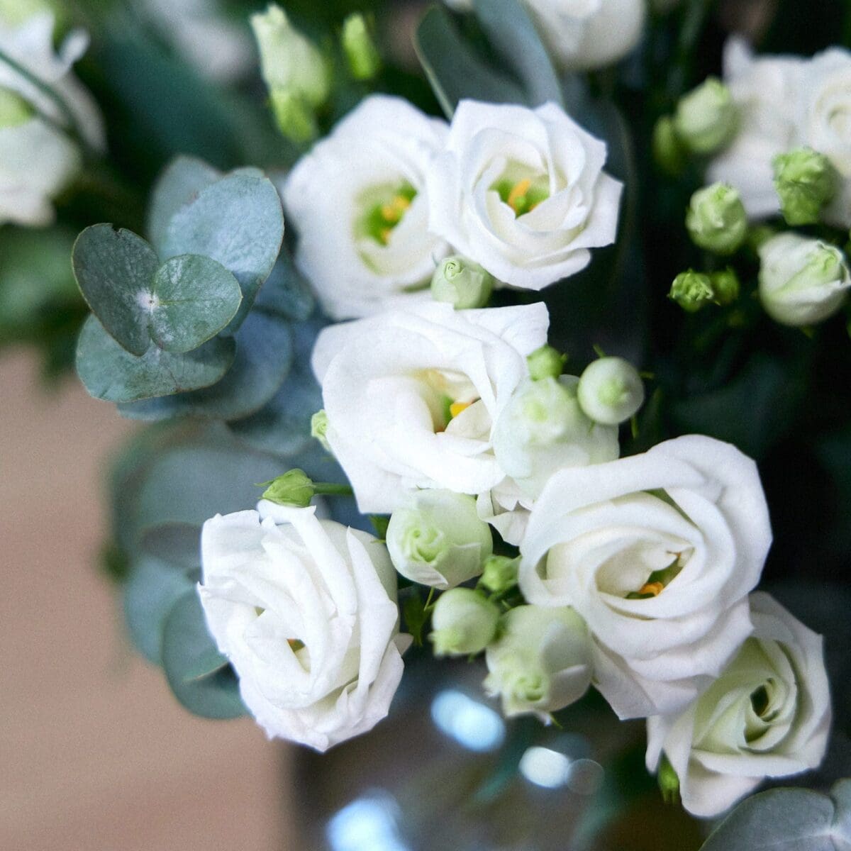 White Lisianthus bunch - Image 4