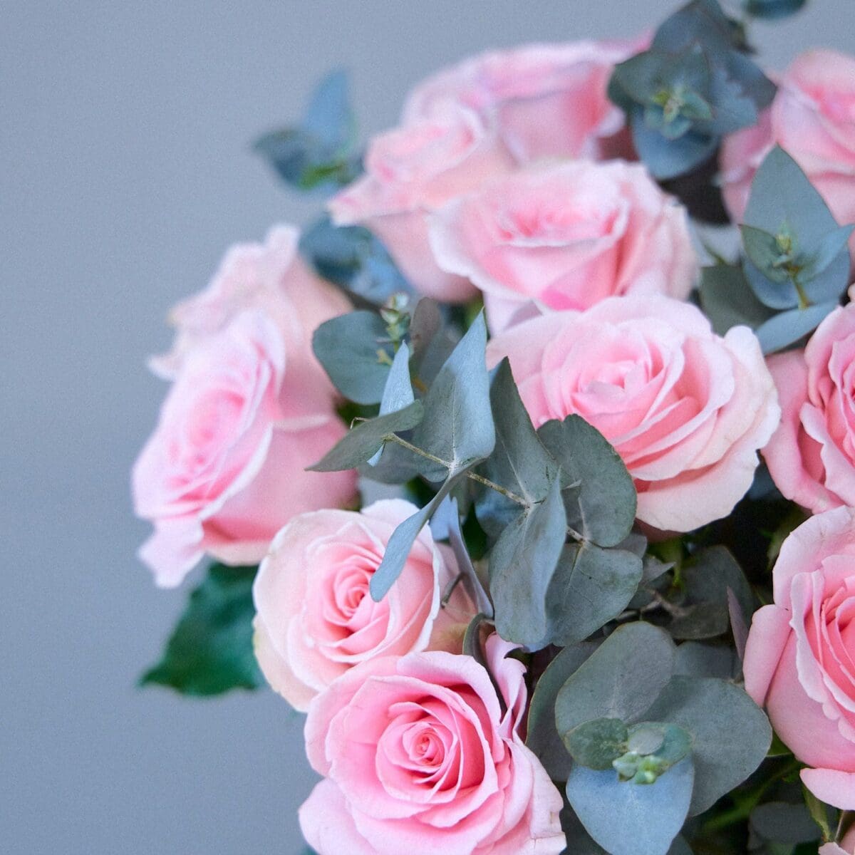 Bunch of pink roses - Image 8