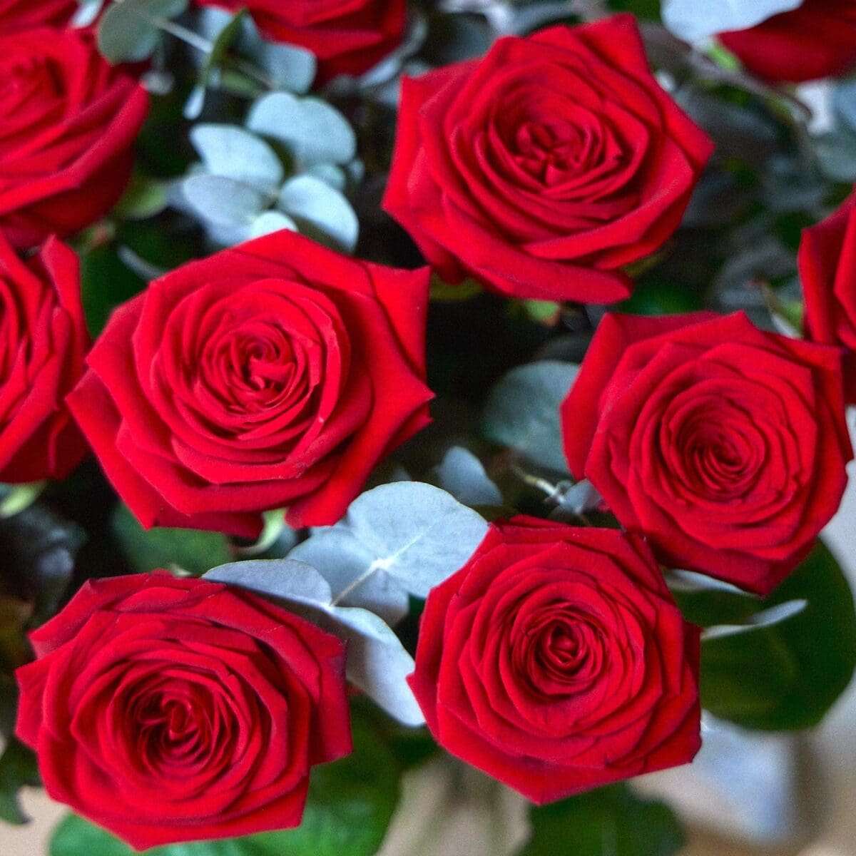 Bunch of Red Roses - Image 7