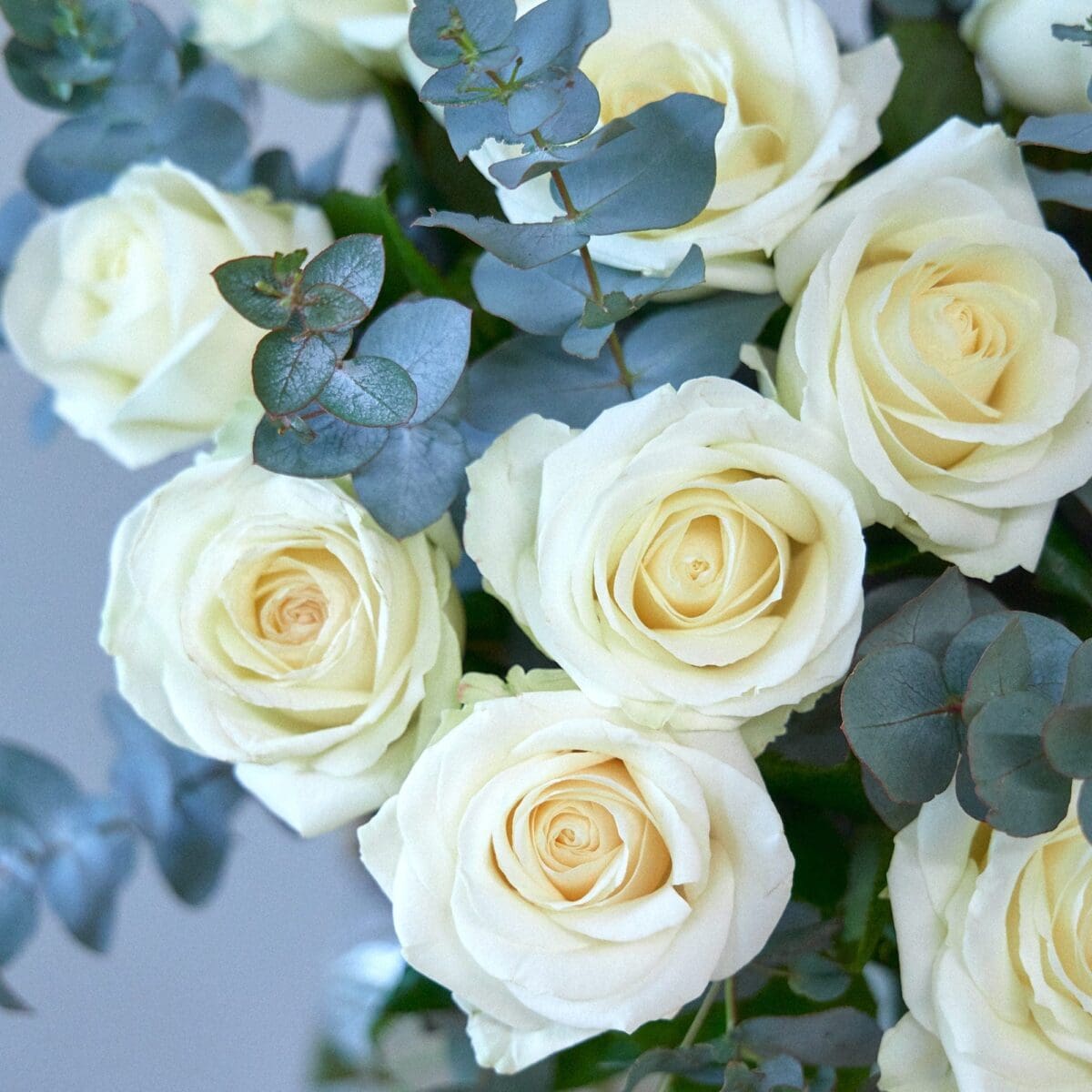 Bunch of white roses - Image 7