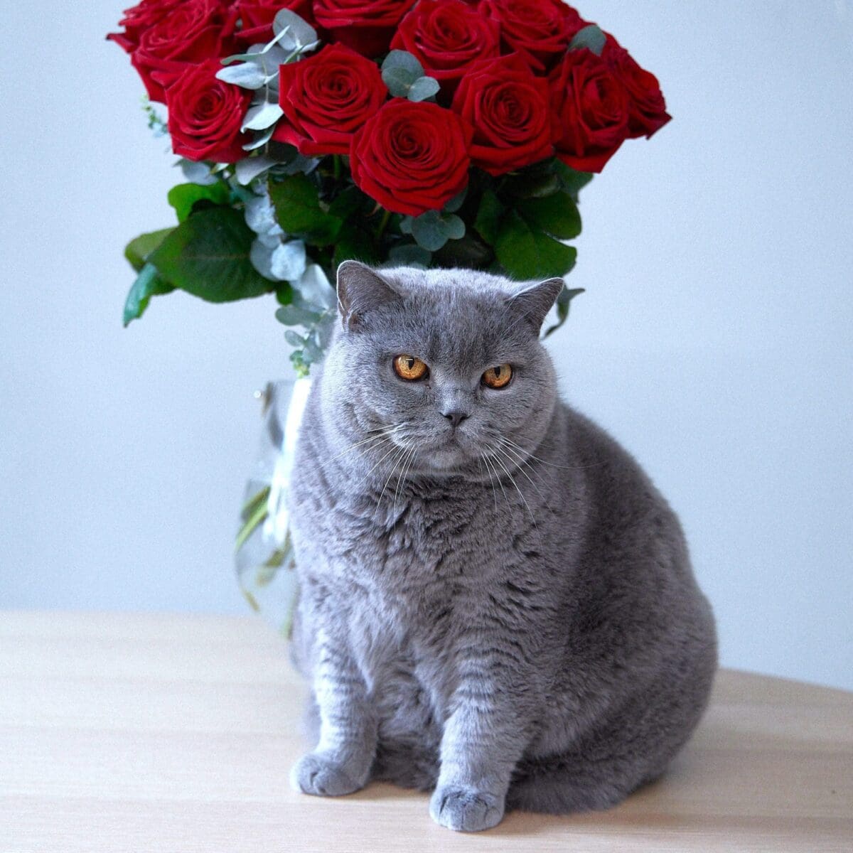 Bunch of Red Roses - Image 8