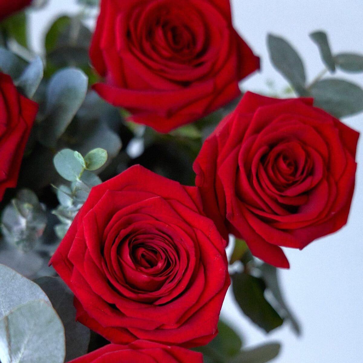 Bunch of Red Roses - Image 9