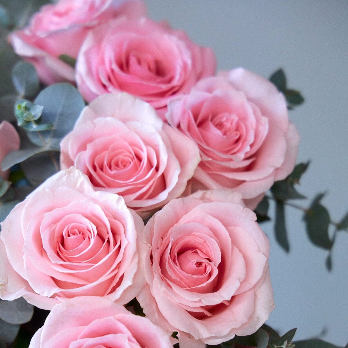 Bunch of pink roses - Image 9