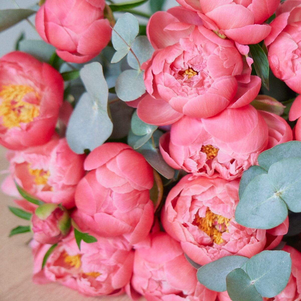 Botte de Pivoines corail – Image 5