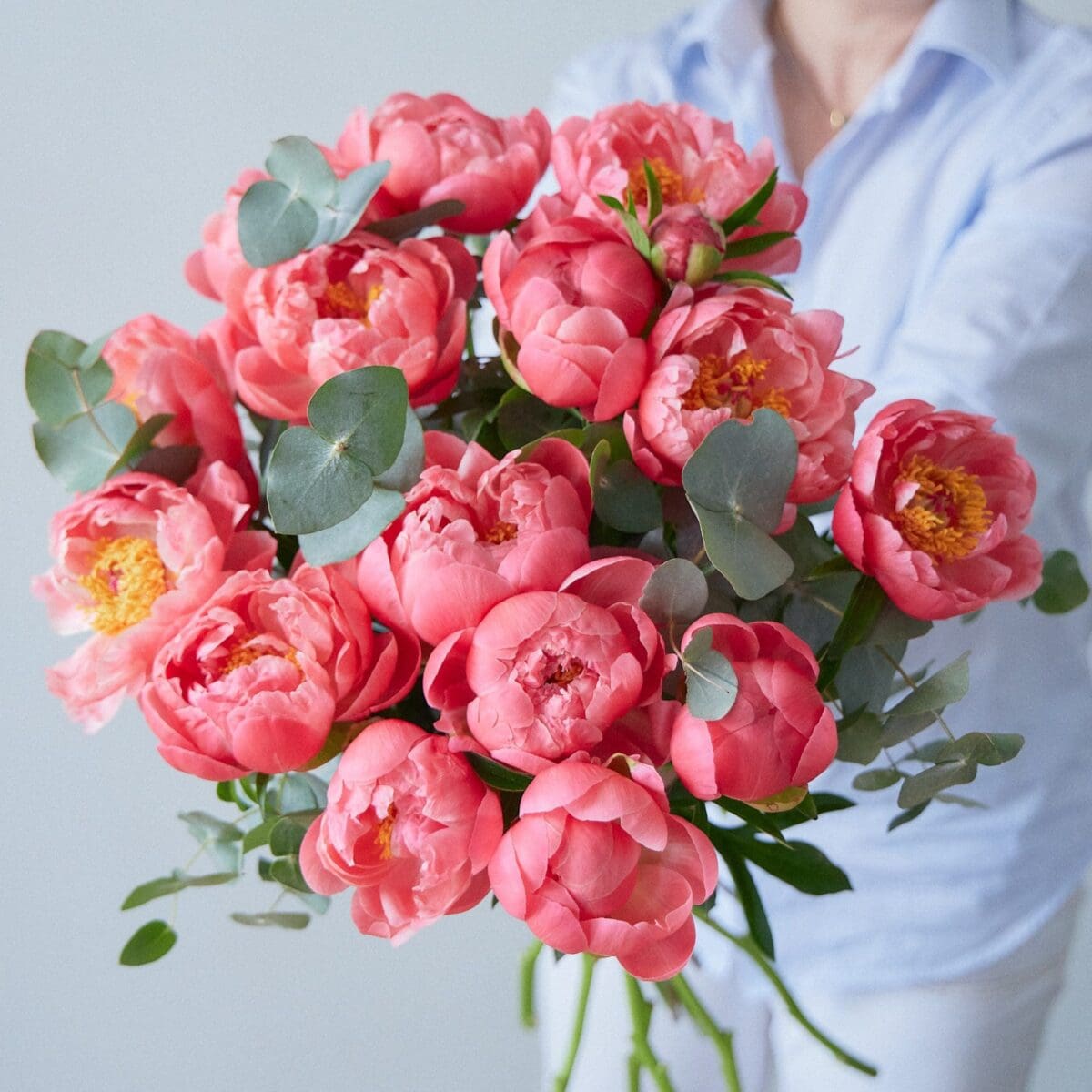 Botte de Pivoines corail