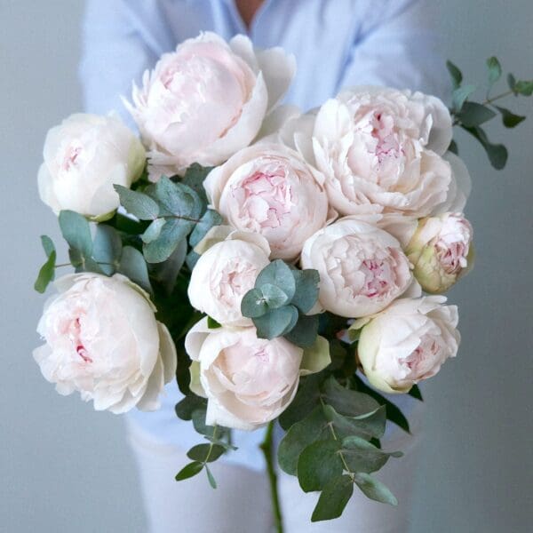 Botte de Pivoines blanches