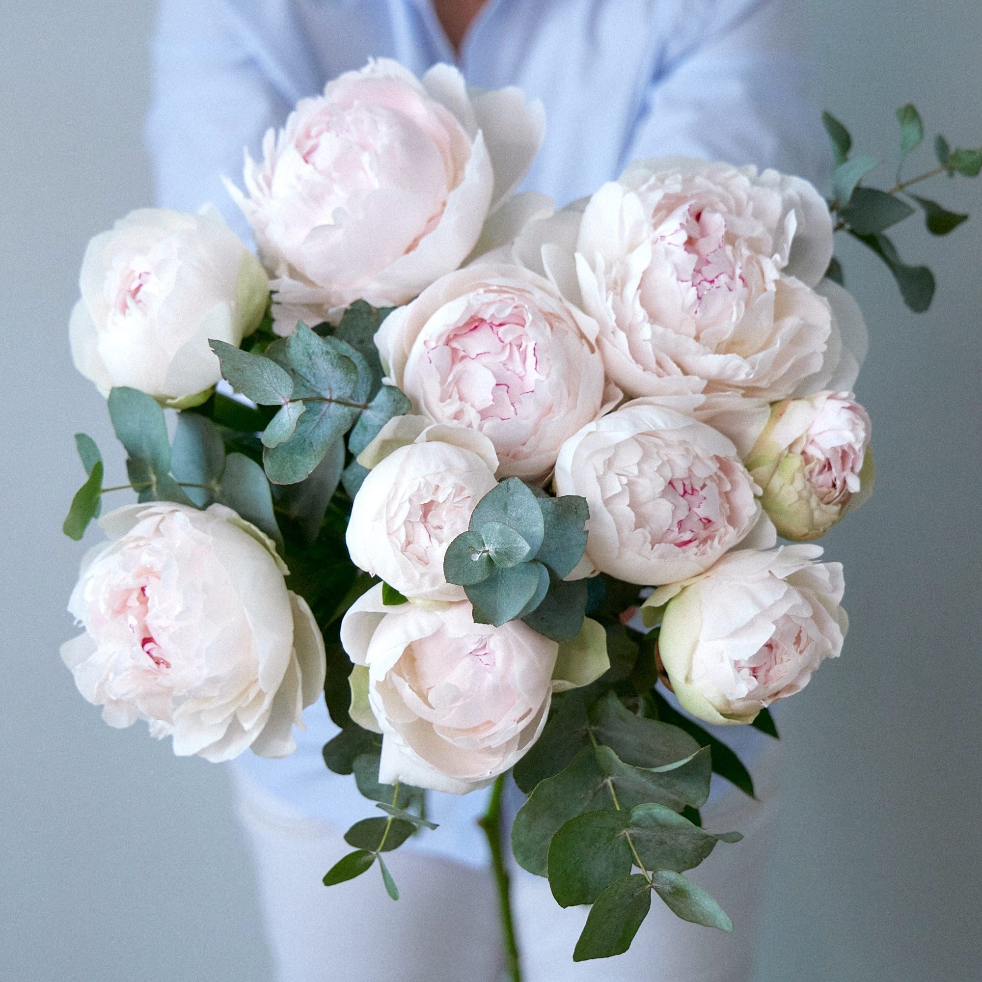 Bunch of white peonies