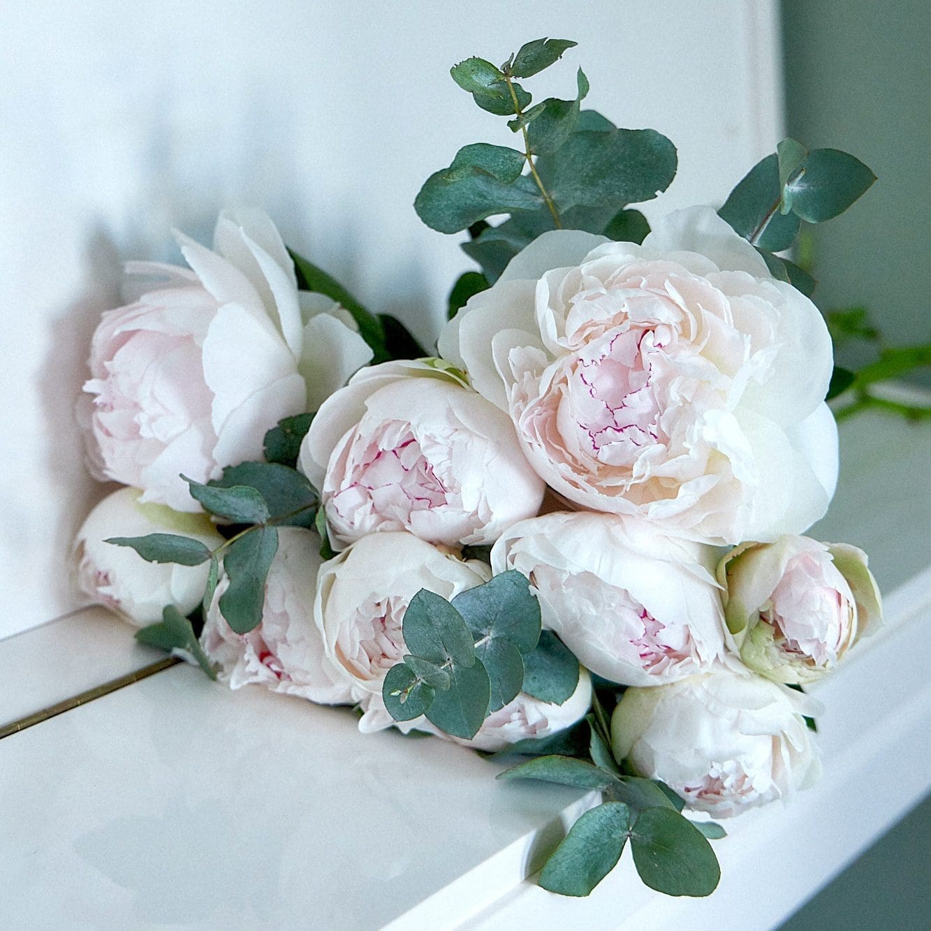 Bunch of white peonies - Image 3