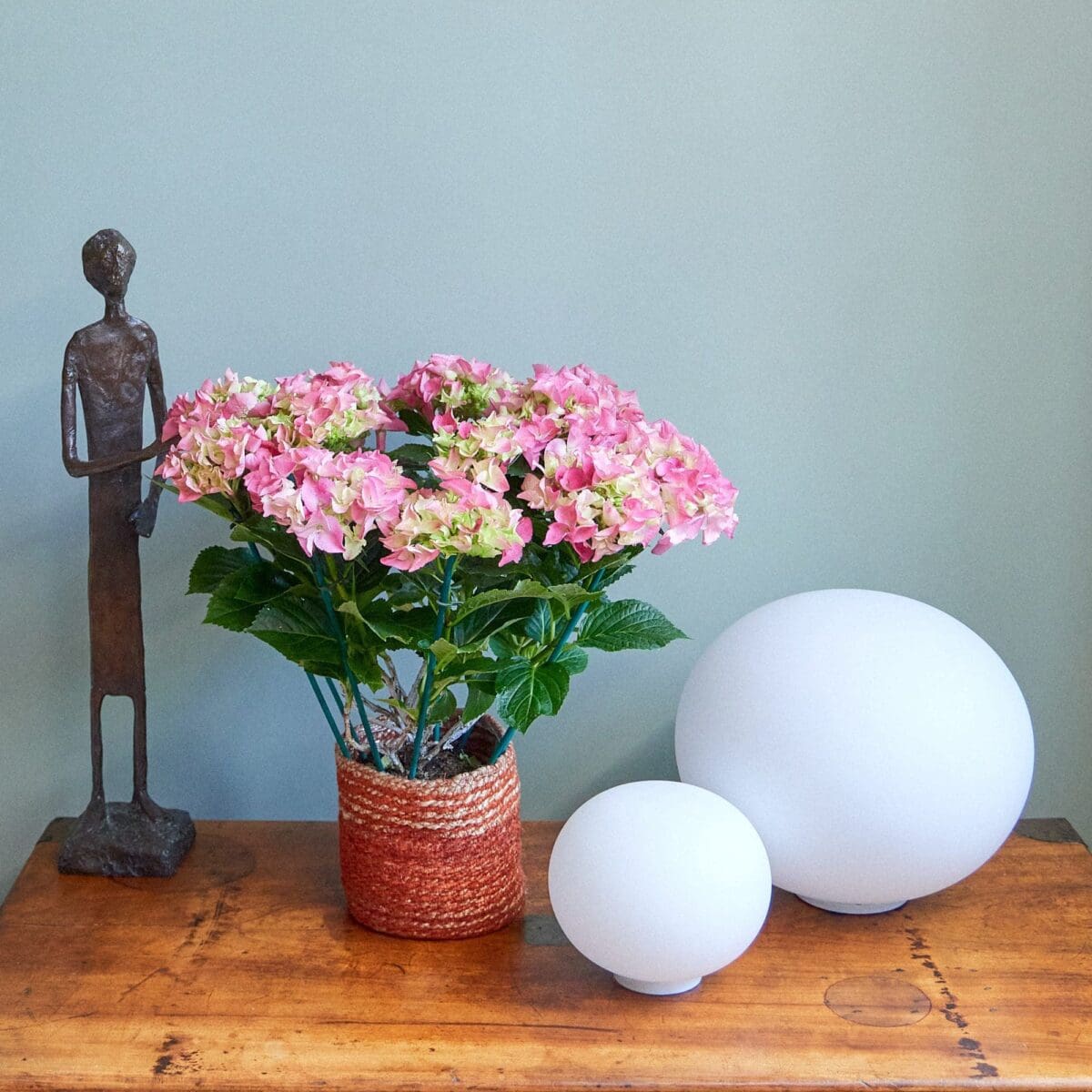 Pink hydrangea plant - Image 5