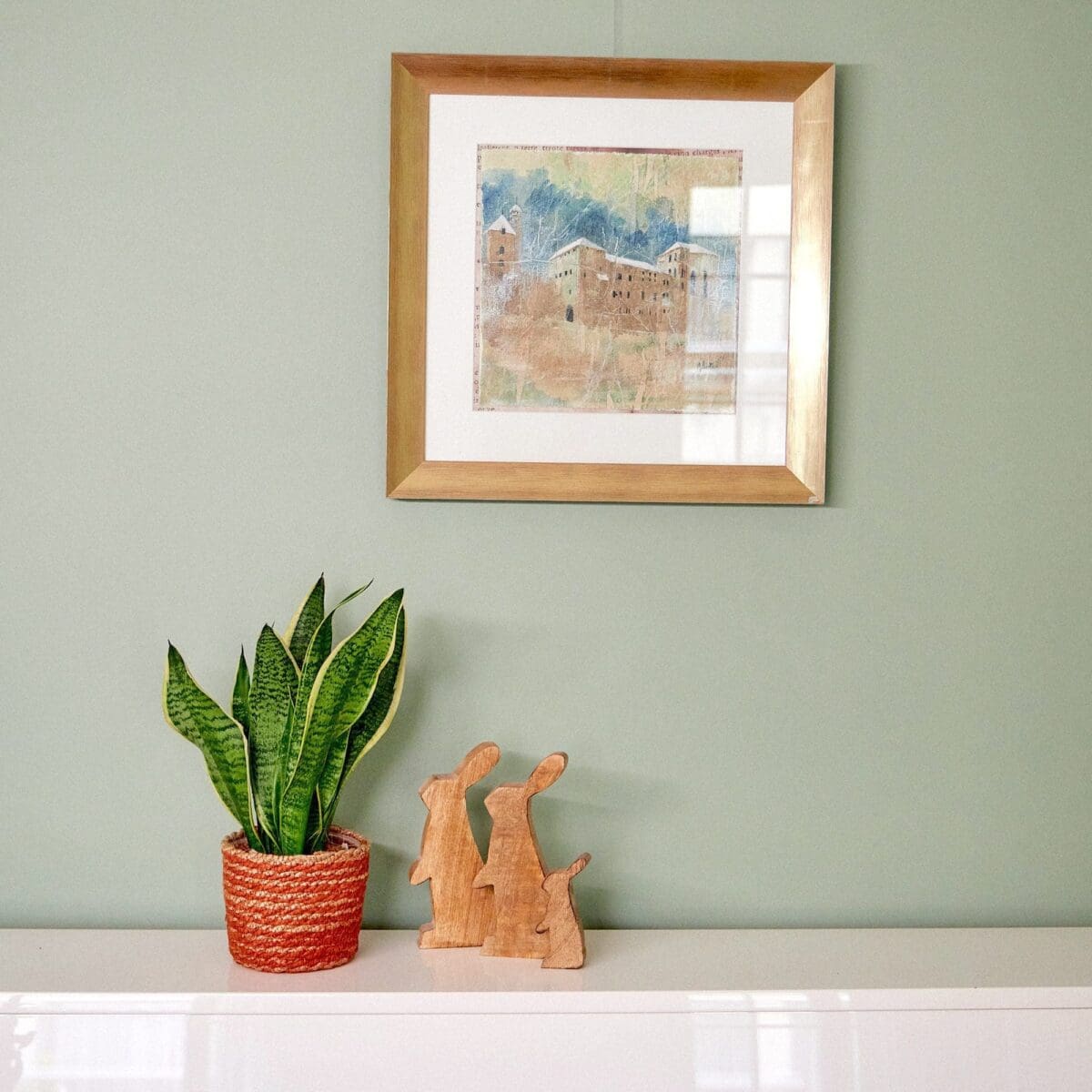 Sansevieria plant - Image 4