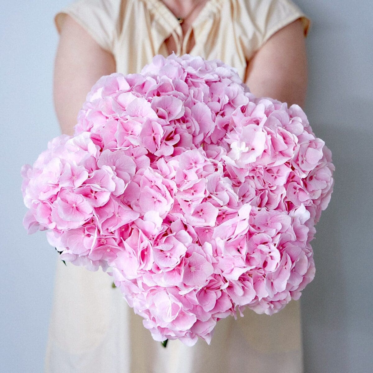 Botte d'Hortensias roses – Image 3