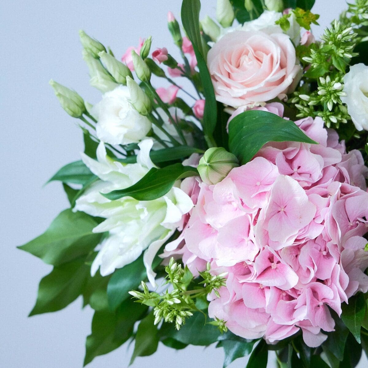 Gentle Serenity - Image 6