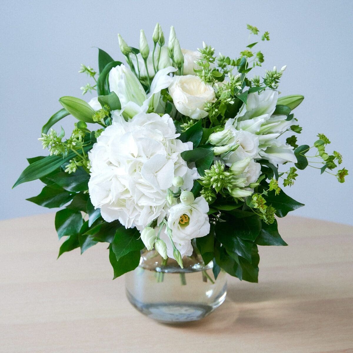 Harmonie Pure – Image 5