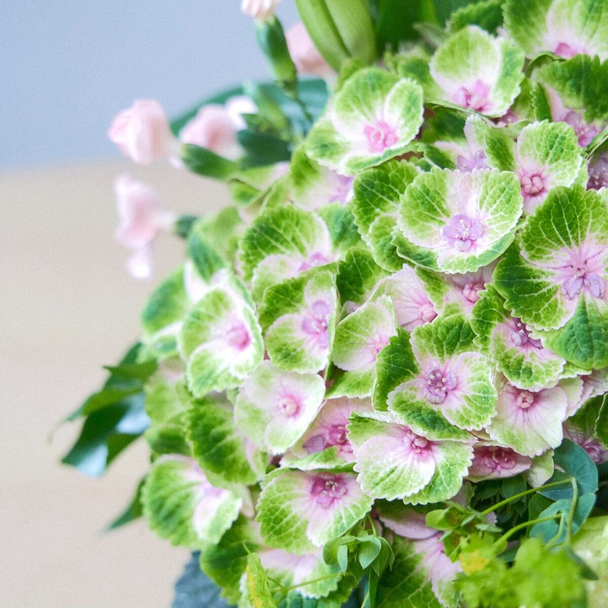 Fleuri Élégance – Image 6