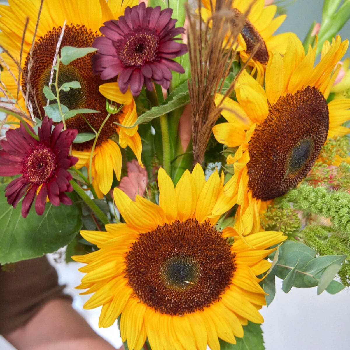 Champ de Tournesols – Image 3