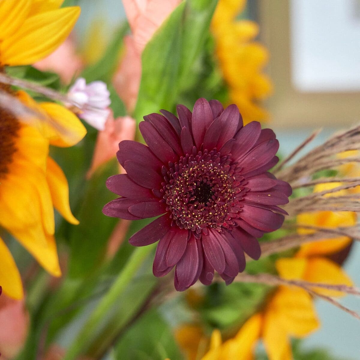 Champ de Tournesols – Image 6