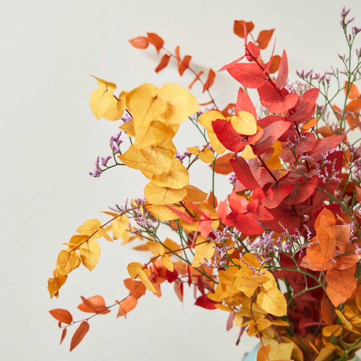Permanence sec – Image 4