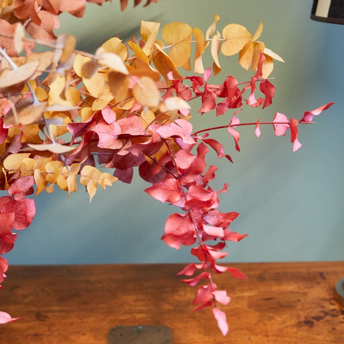 Autumn Eucalyptus bunch - Image 3