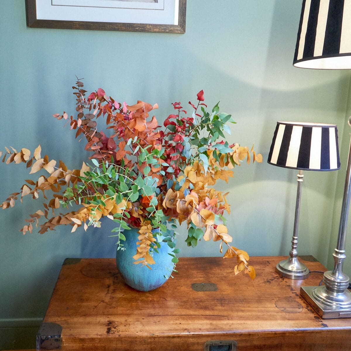 Bunch of various Eucalyptus trees - Image 4