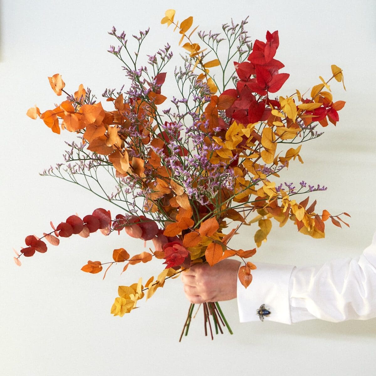 Permanence sec – Image 5