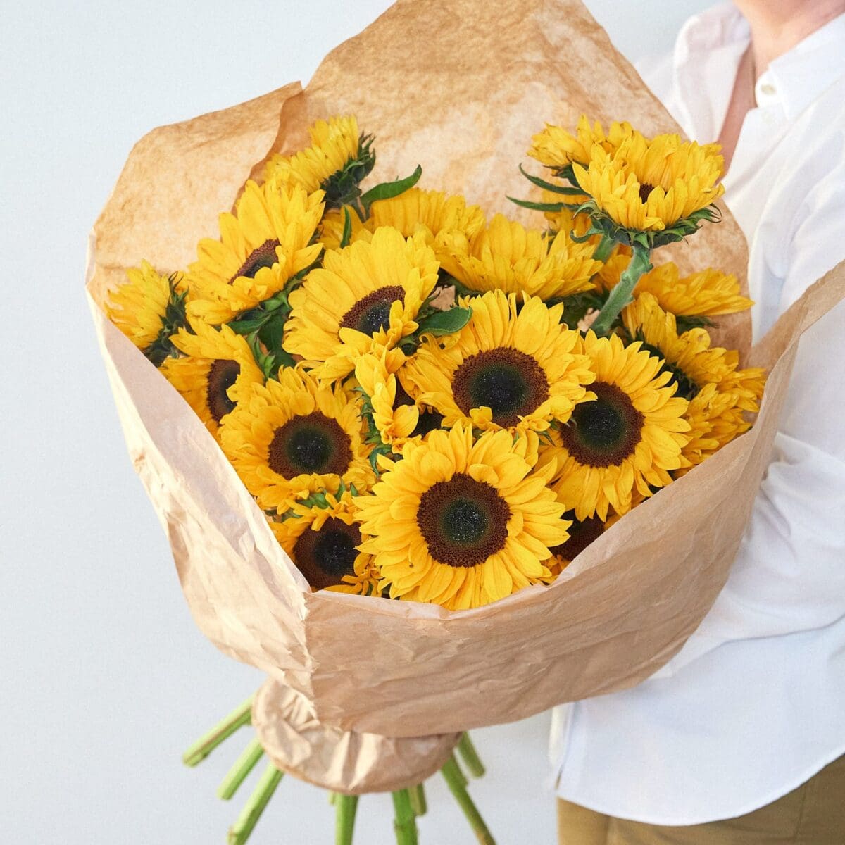 Bunch of Sunflowers