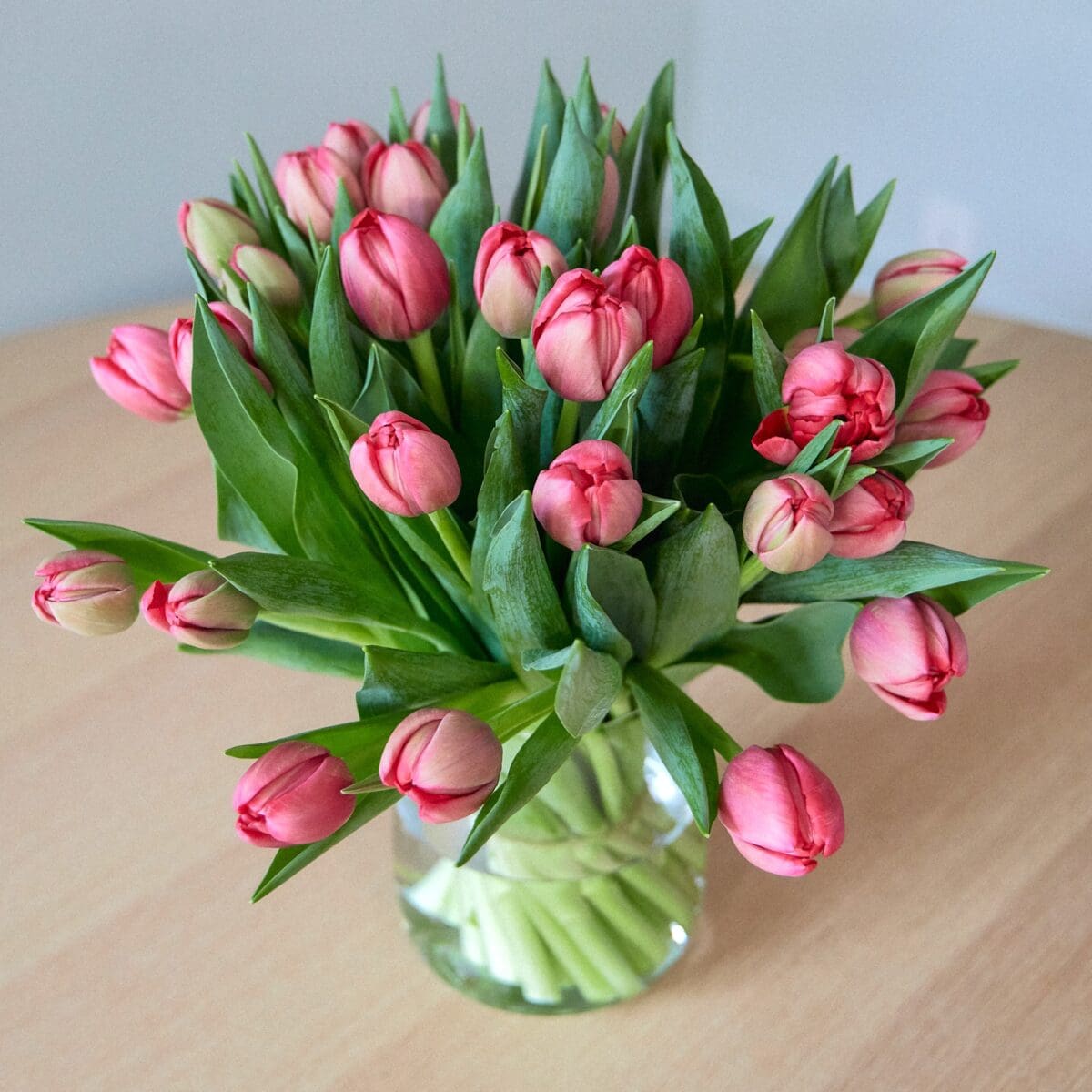 Bunch of red tulips - Image 3
