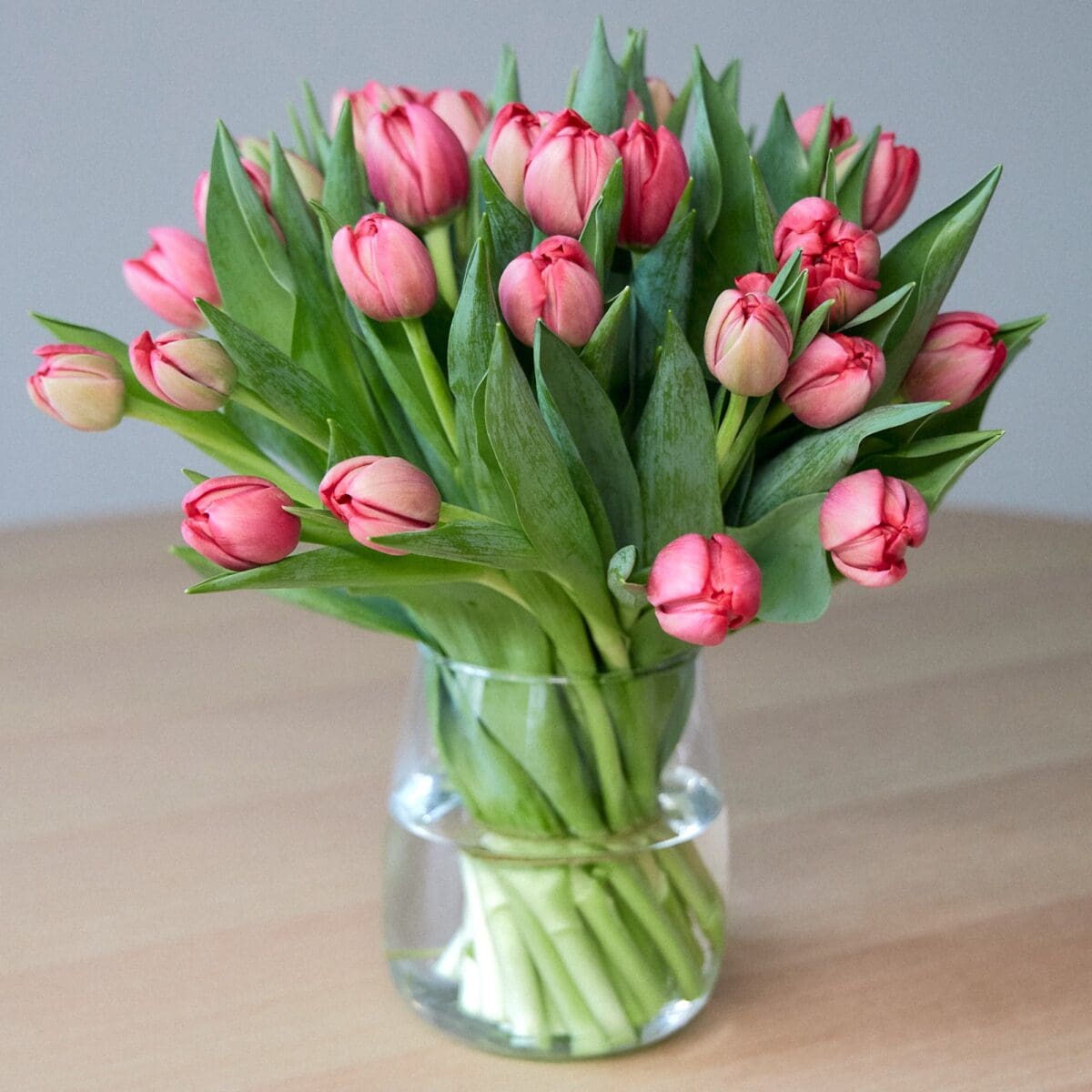 Bunch of red tulips - Image 2