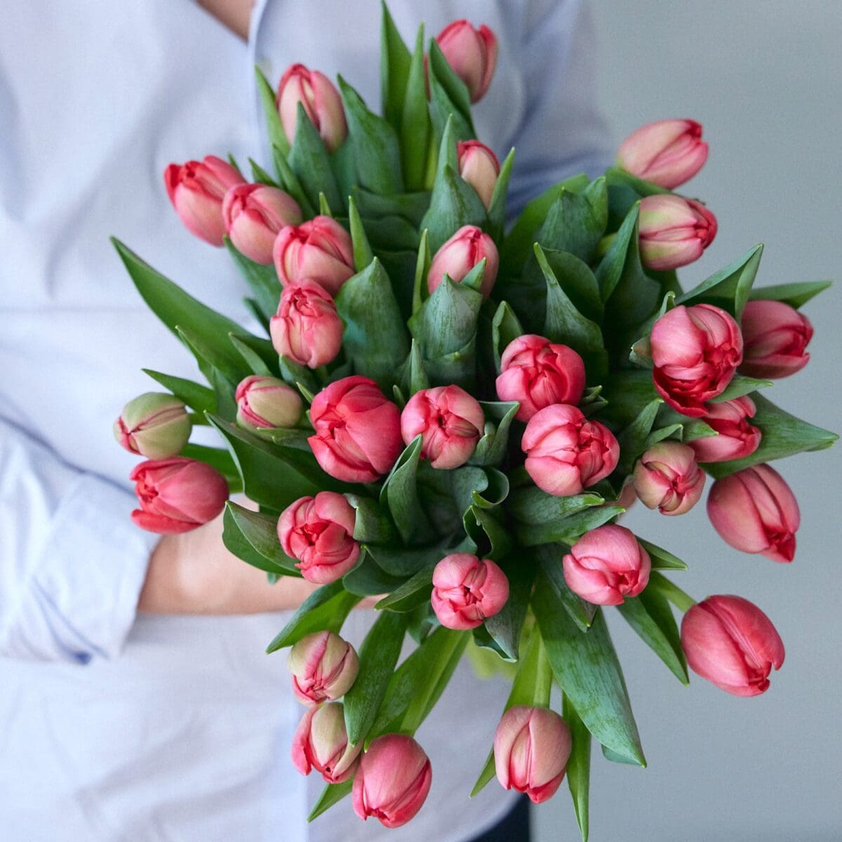 Bunch of red tulips - Image 4