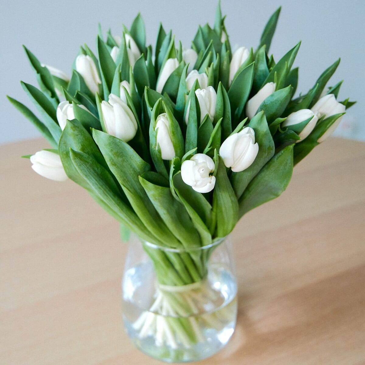 Botte de Tulipes blanches – Image 3