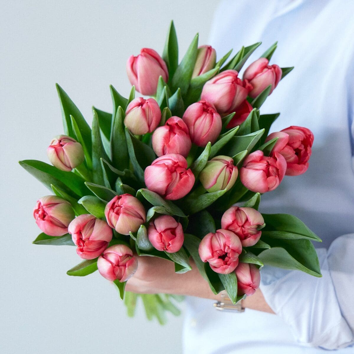 Bunch of red tulips