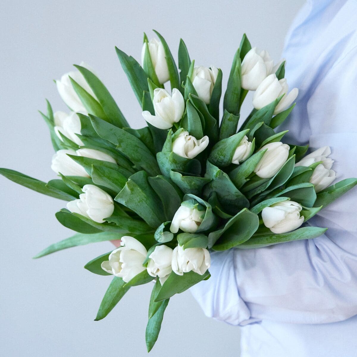 Botte de Tulipes blanches