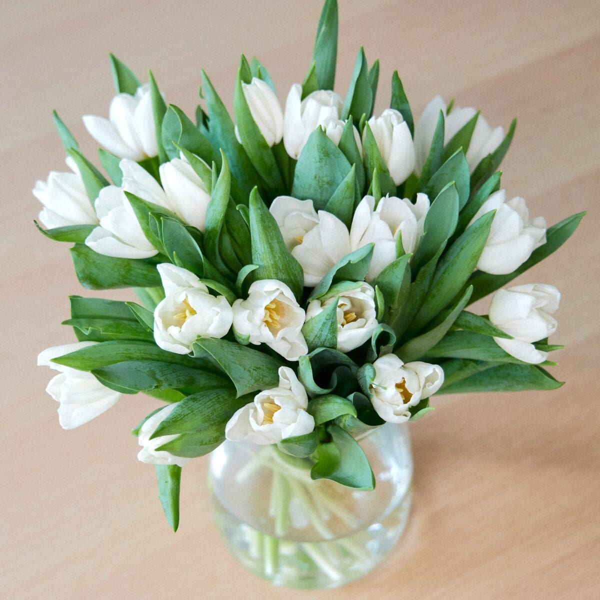 Botte de Tulipes blanches – Image 2