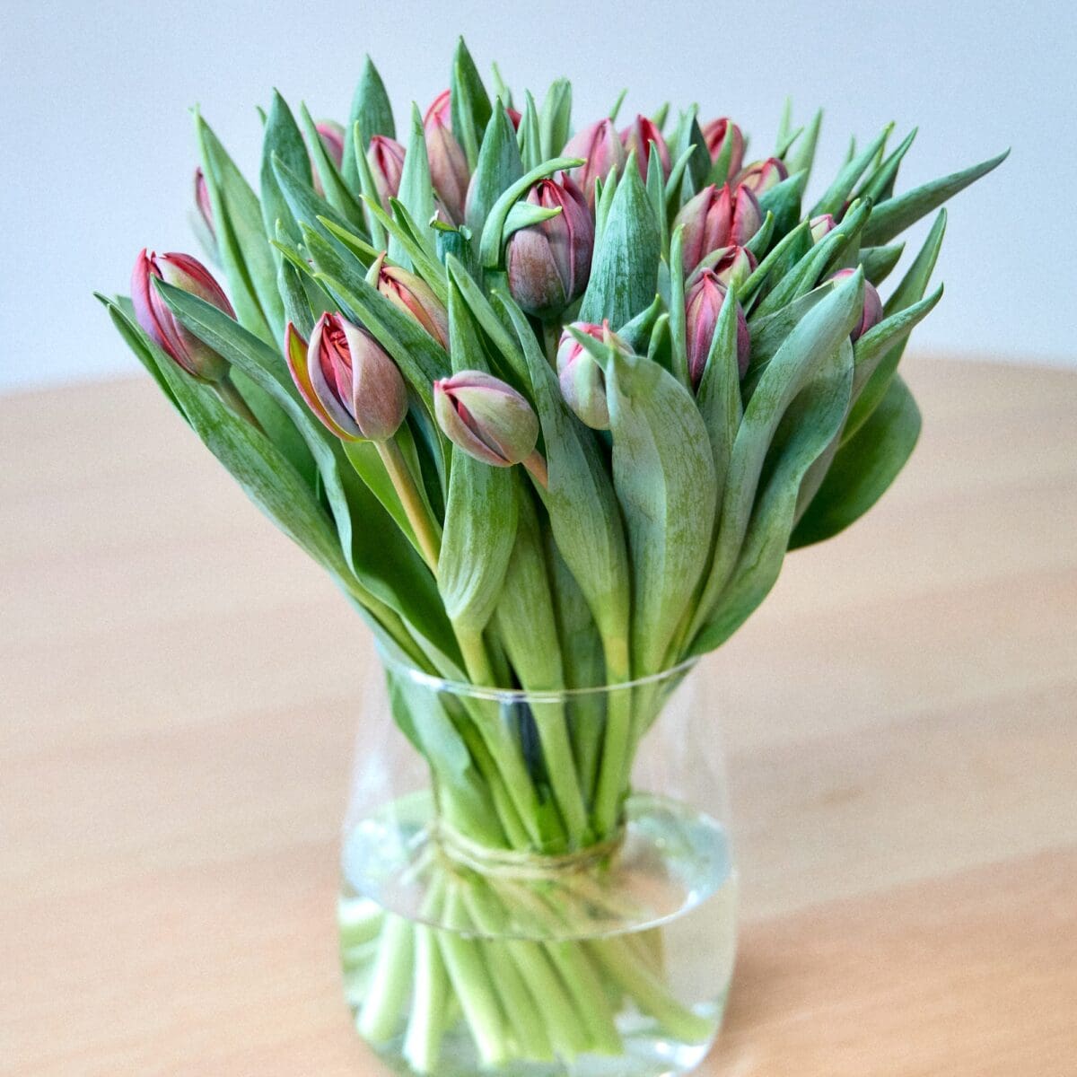 Botte de Tulipes bordeaux – Image 3