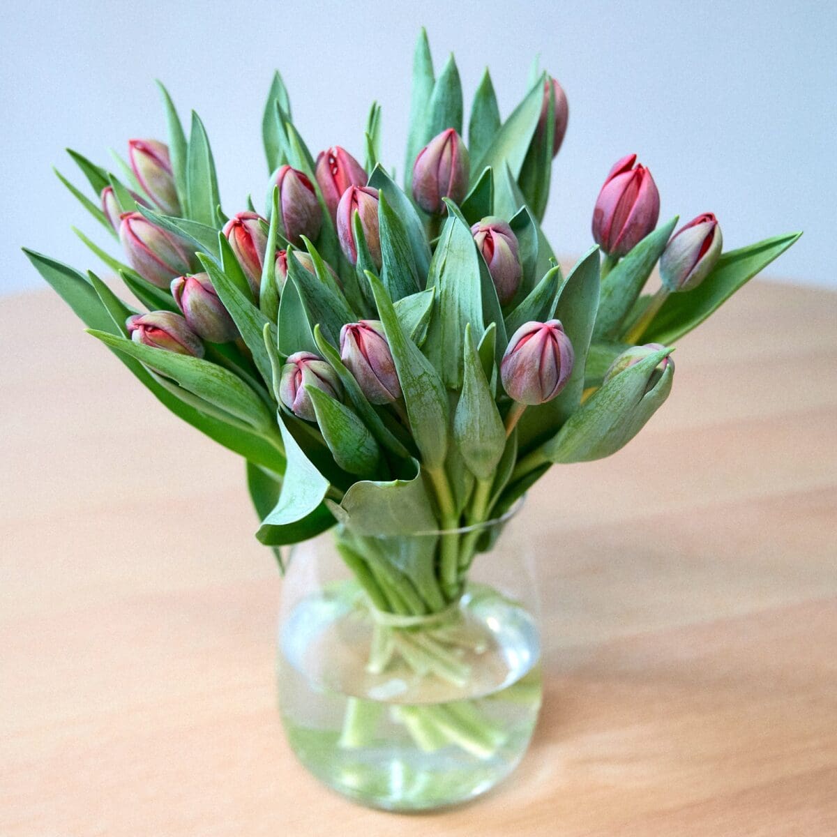 Botte de Tulipes bordeaux – Image 2