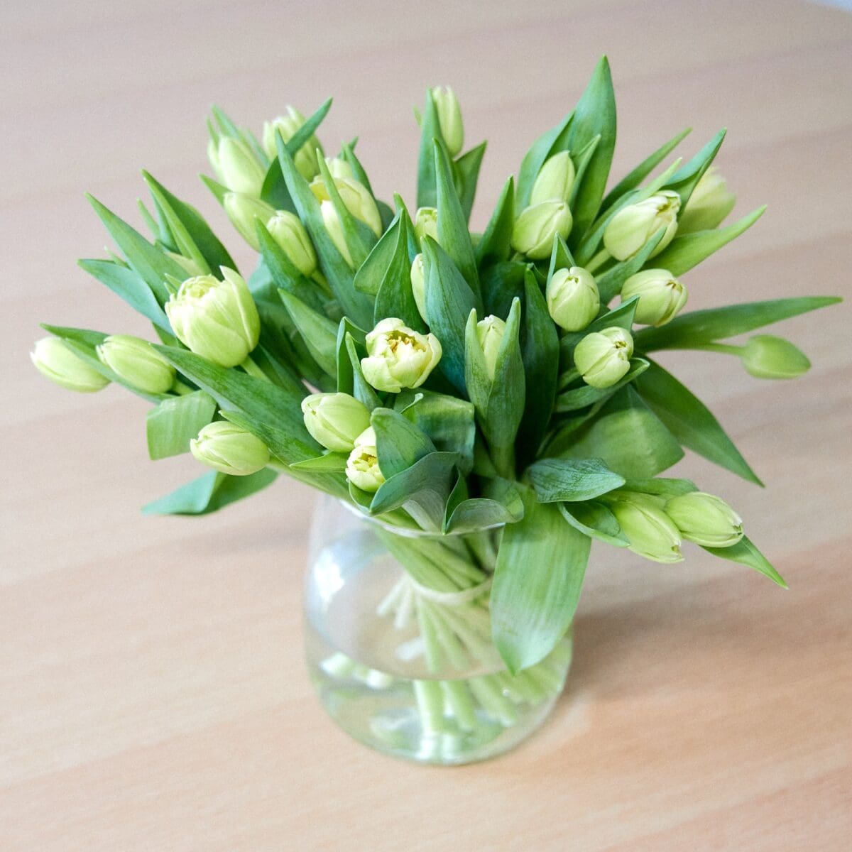 Botte de Tulipes jaunes – Image 3