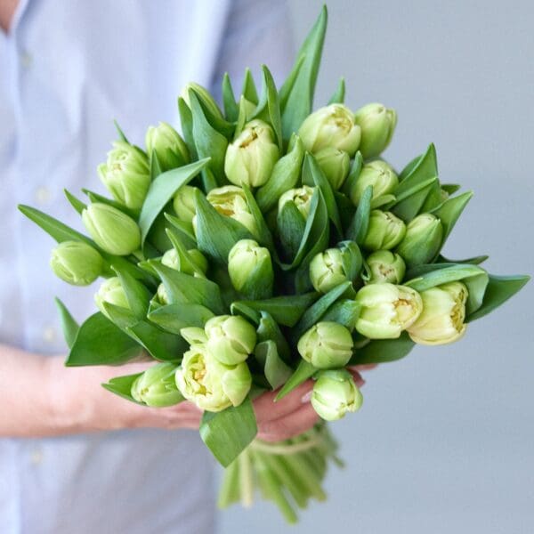 Botte de Tulipes jaunes