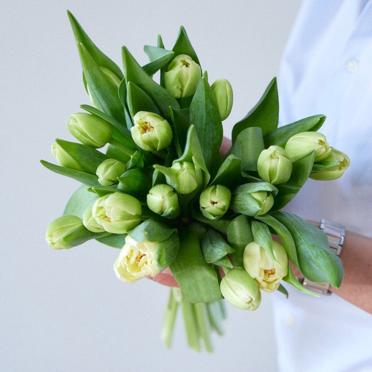 Botte de Tulipes jaunes – Image 2